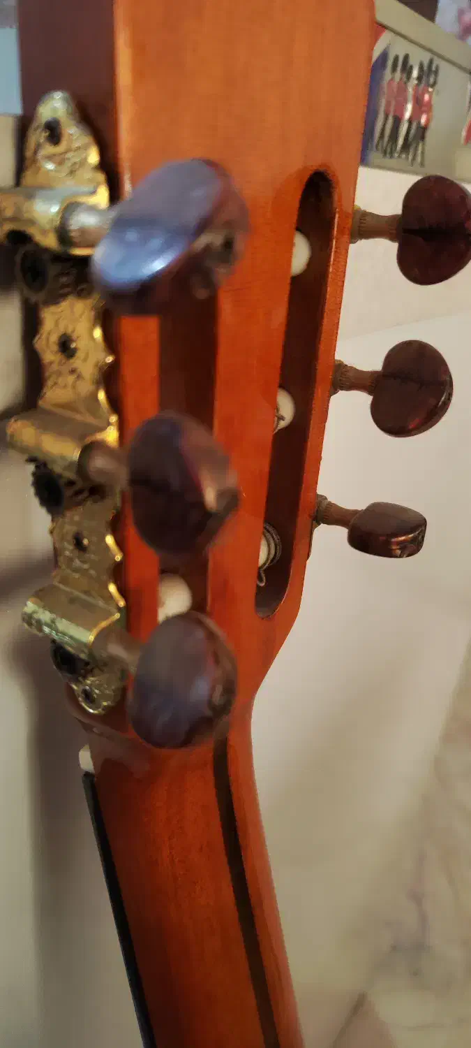 گیتار مدلjycg m256|گیتار، بیس، امپلیفایر|تهران, میدان ولیعصر|دیوار