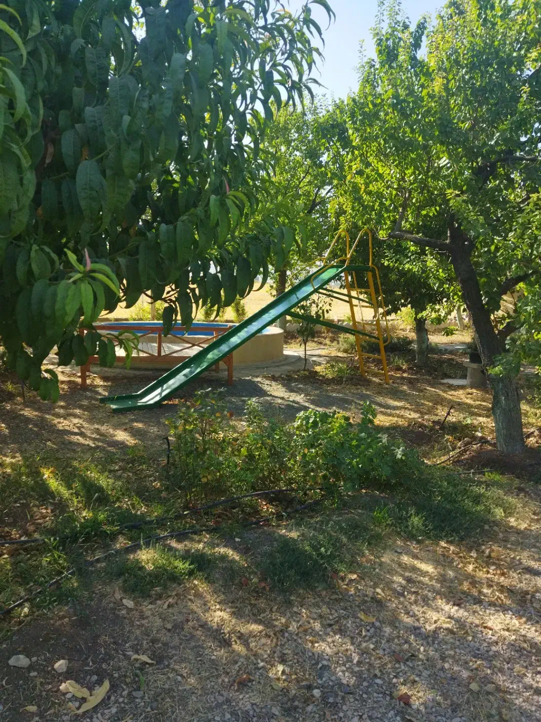 فروش باغ|فروش خانه و ویلا|بیلوار, |دیوار