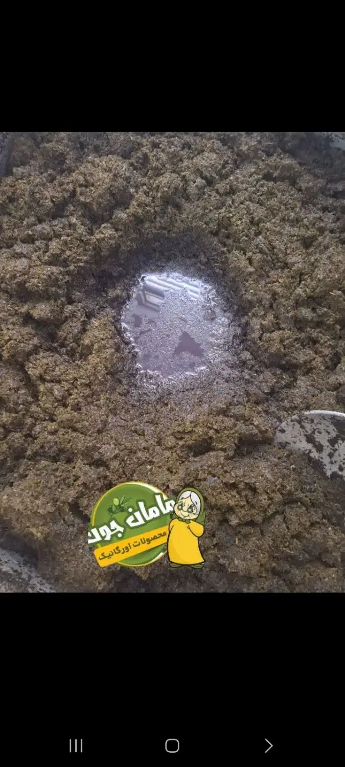 سبزی قرمه سرخ شده|خوردنی و آشامیدنی|قرچک, باقرآباد|دیوار