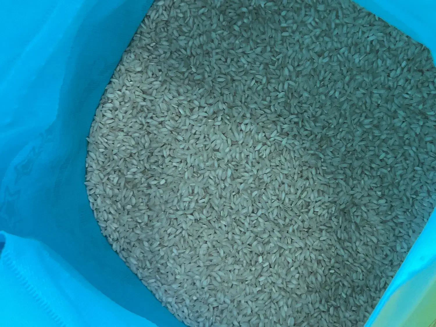 برنج. عنبر بو. محلی چمپا|عمدهفروشی|بهبهان, |دیوار