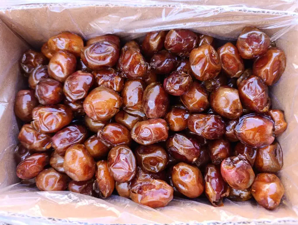 خرما خاصویی|خوردنی و آشامیدنی|قم, شهرک مهدیه|دیوار