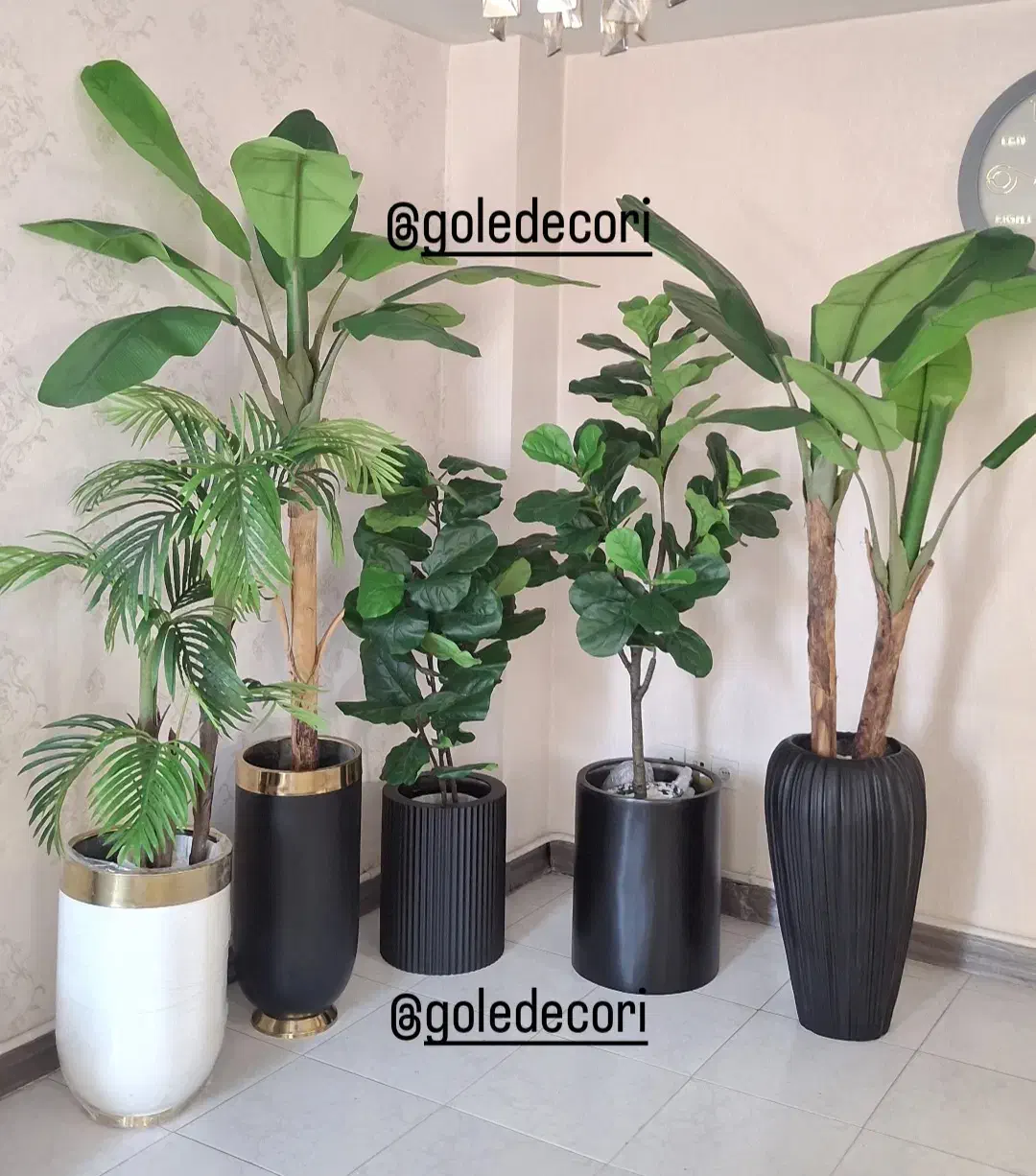 درخچه های شیک وارداتی|گل مصنوعی|کرج, انبار مپنا|دیوار