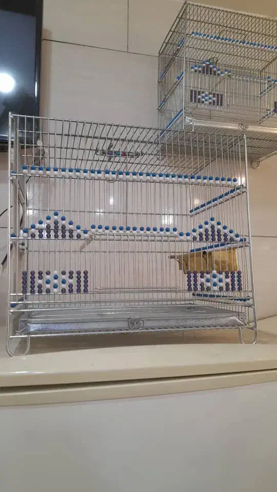 قفس|لوازم جانبی حیوانات|تهران, علی‌آباد|دیوار