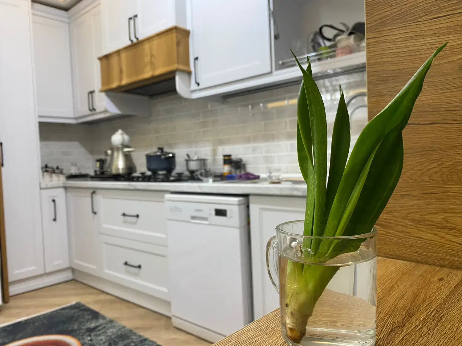 کابینت نئوکلاسیک مینیمال|مصالح و تجهیزات ساختمان|اندیشه, اندیشه فاز ۴|دیوار