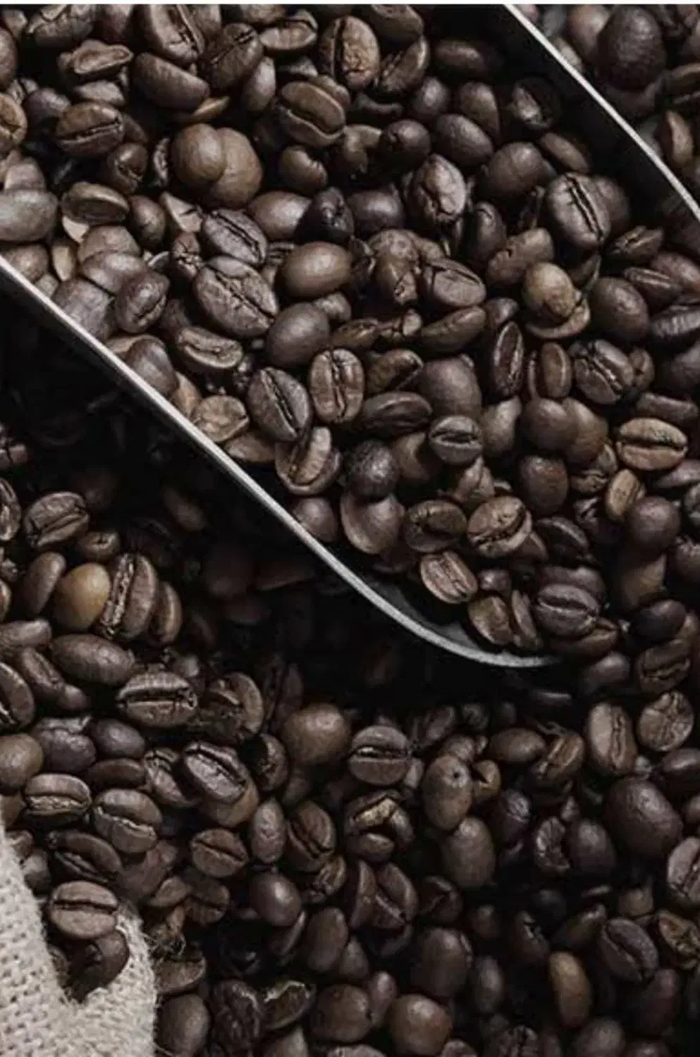 قپخش قهوه|عمده‌فروشی|حمیدیه, |دیوار