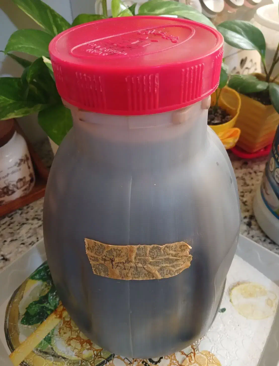 سیر ترشی تردوخوشمزه|خوردنی و آشامیدنی|رشت, نیروی دریایی|دیوار