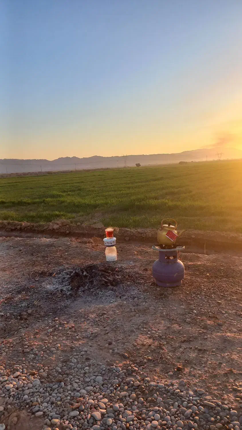 جو جهت کاشت میخوام|خدمات باغبانی و درختکاری|بهبهان, |دیوار