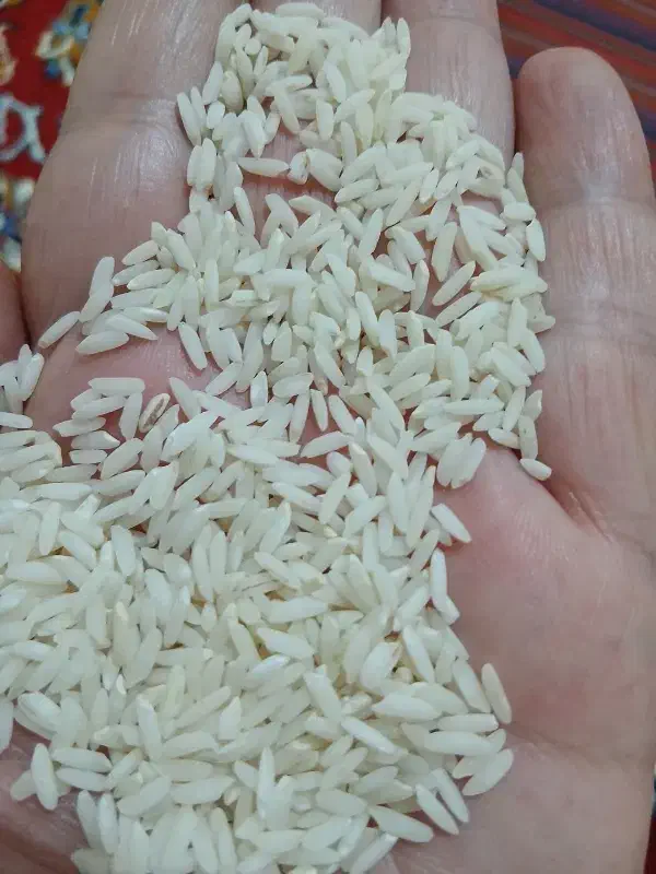 برنج دورود|عمده‌فروشی|دورود, |دیوار