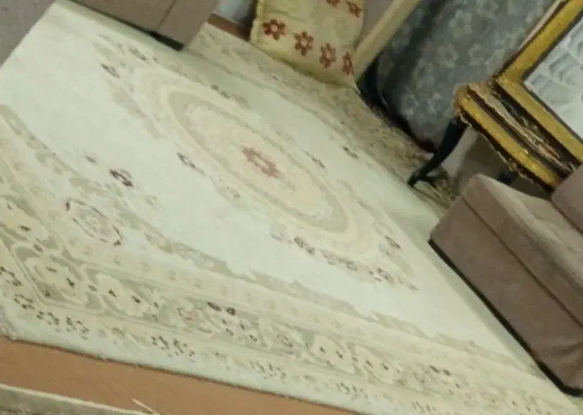 قالی 12متری جفت|فرش|تایباد, |دیوار