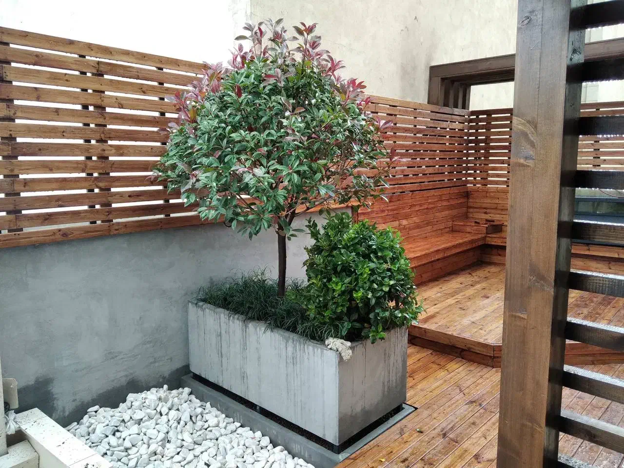 اجرای میکروسمنت|خدمات پیشه و مهارت|کیش, |دیوار