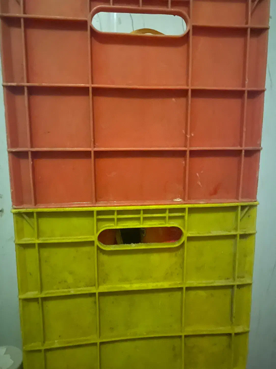 سبد|ظروف نگهدارنده، پلاستیکی، یکبارمصرف|مشهد, یوسفیه (شهرک غرب)|دیوار