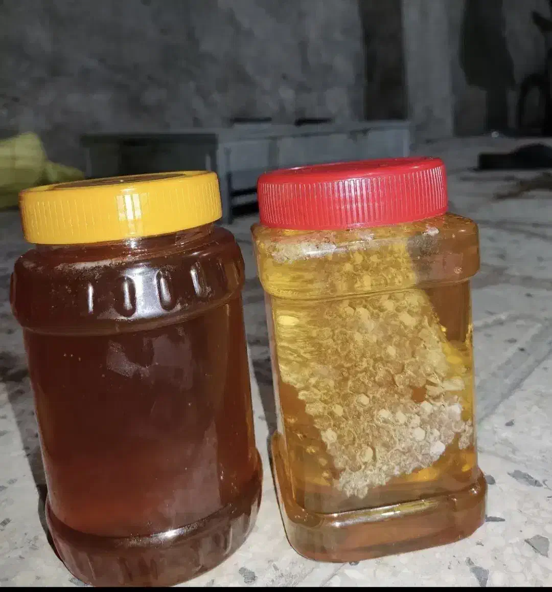 عسل طبیعی و کوهی|خوردنی و آشامیدنی|شیراز, شهرک فرزانگان|دیوار