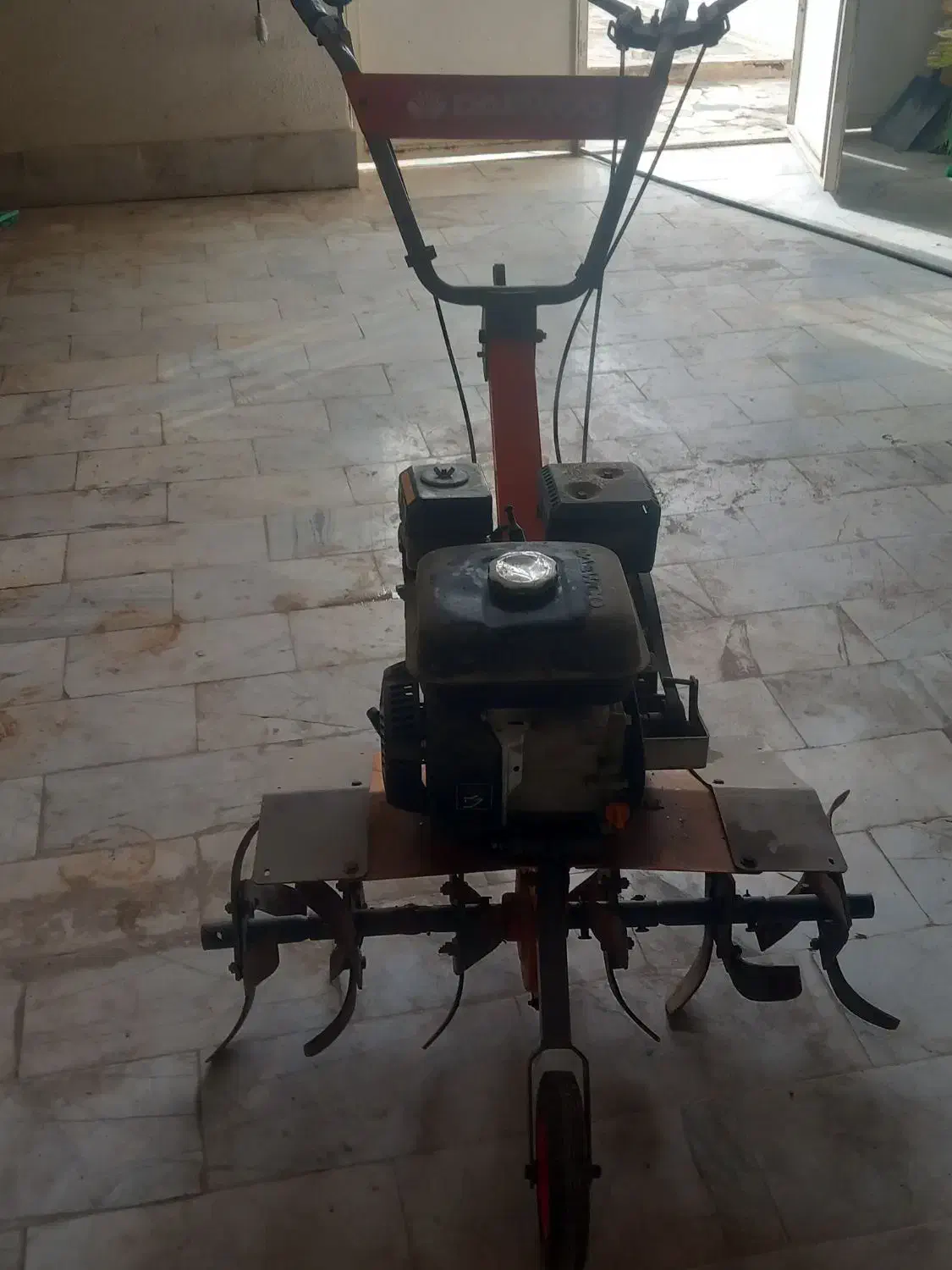 هرس کاری|خدمات باغبانی و درختکاری|محمدشهر, محمدشهر|دیوار