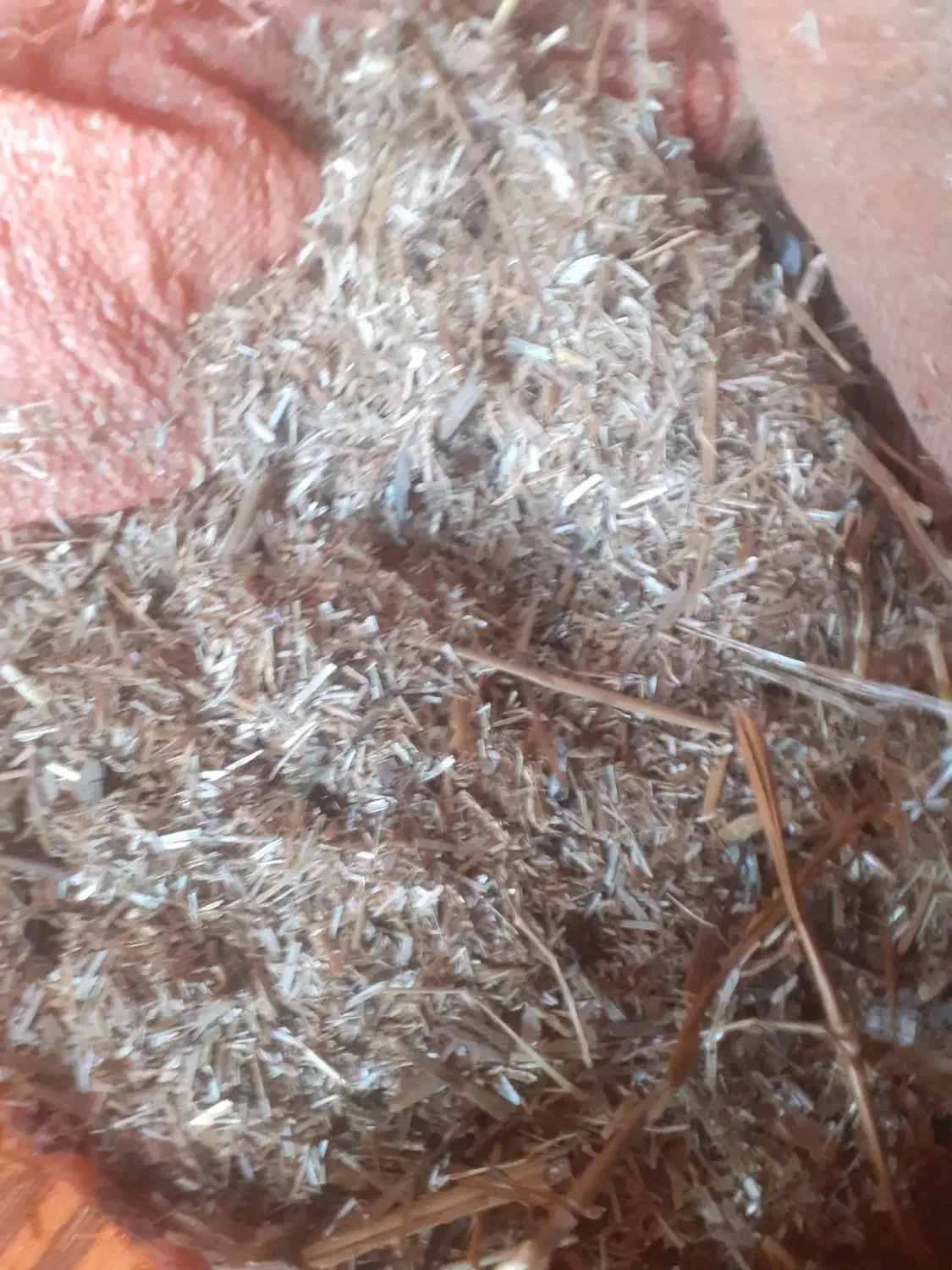 کاه|لوازم جانبی حیوانات|گالیکش, |دیوار