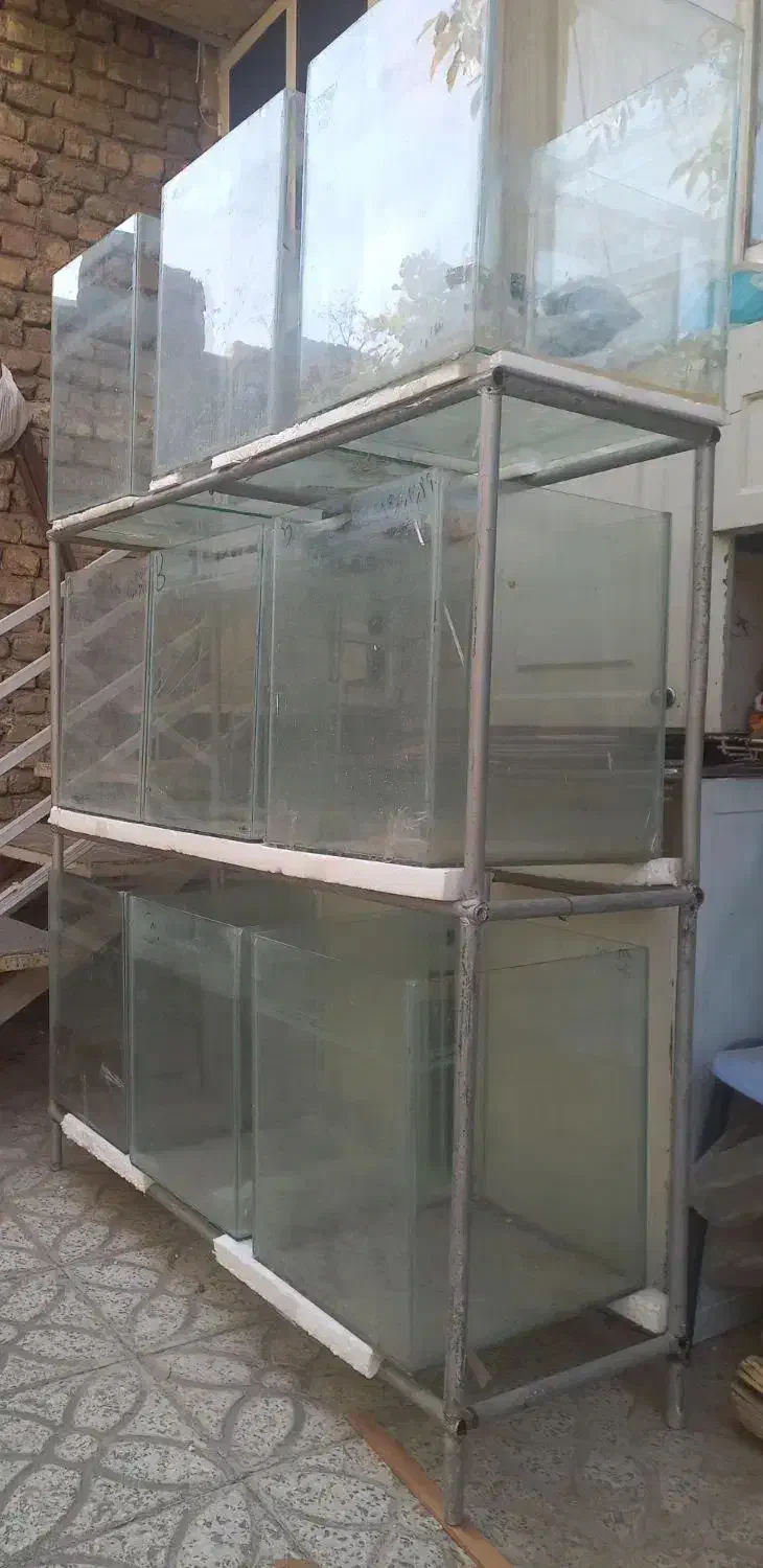 آکوآریوم باپایه|ماهی|اراک, |دیوار