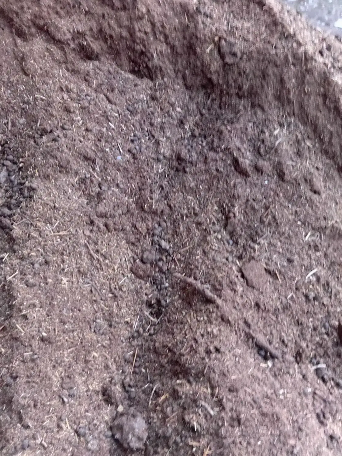 کود گوسفندی|خدمات باغبانی و درختکاری|ملک‌آباد, |دیوار