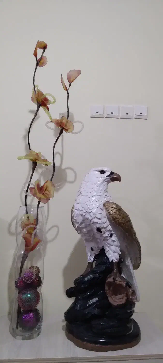 عقاب دکوری|مجسمه، تندیس، ماکت|اردبیل, |دیوار