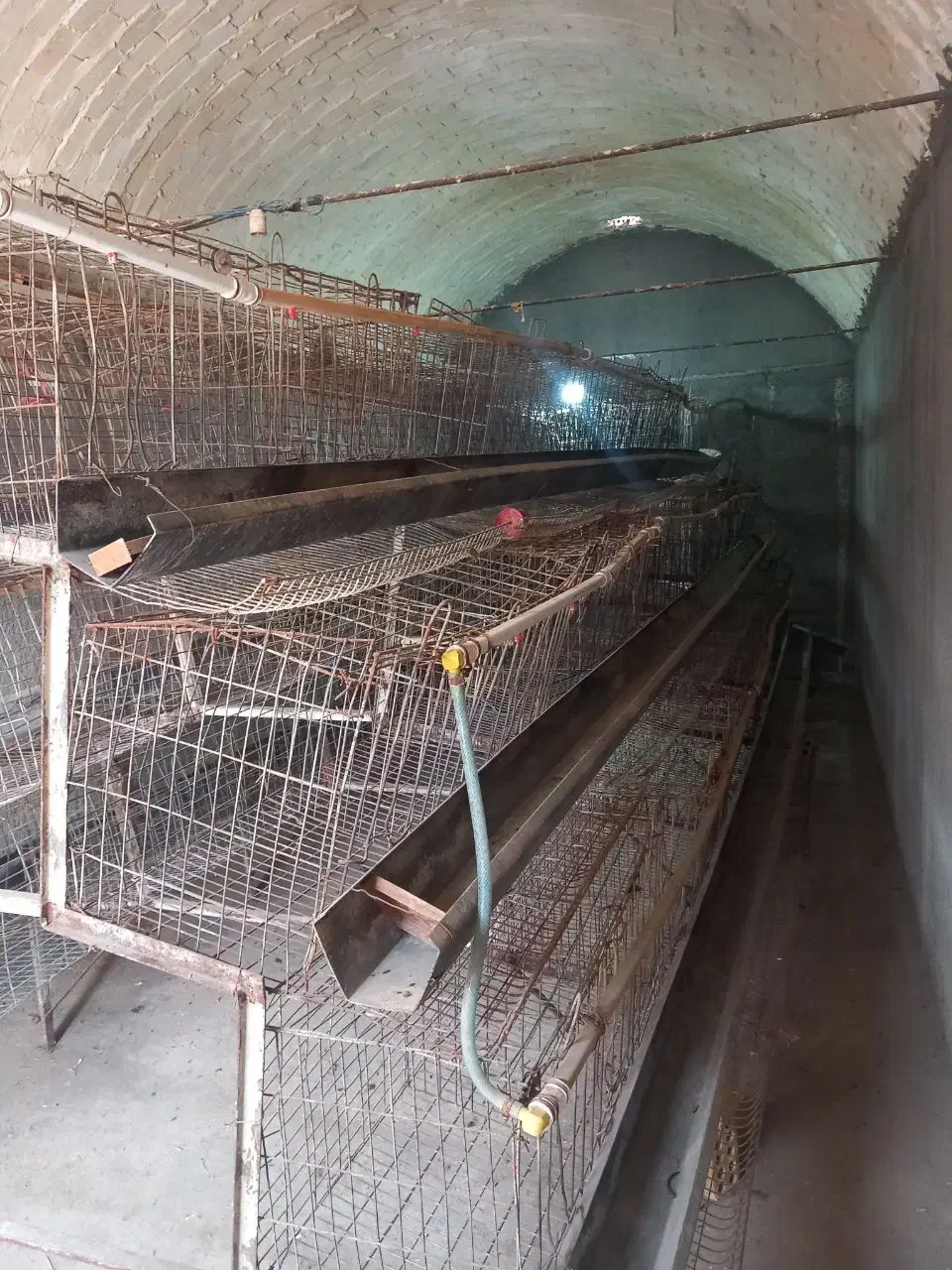 قفس مرغی|لوازم جانبی حیوانات|قم, میدان نو|دیوار