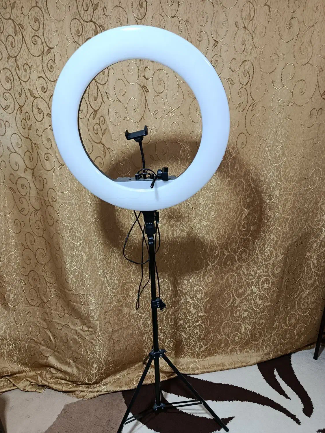 رینگ لایت|لامپ و چراغ|اردکان, |دیوار