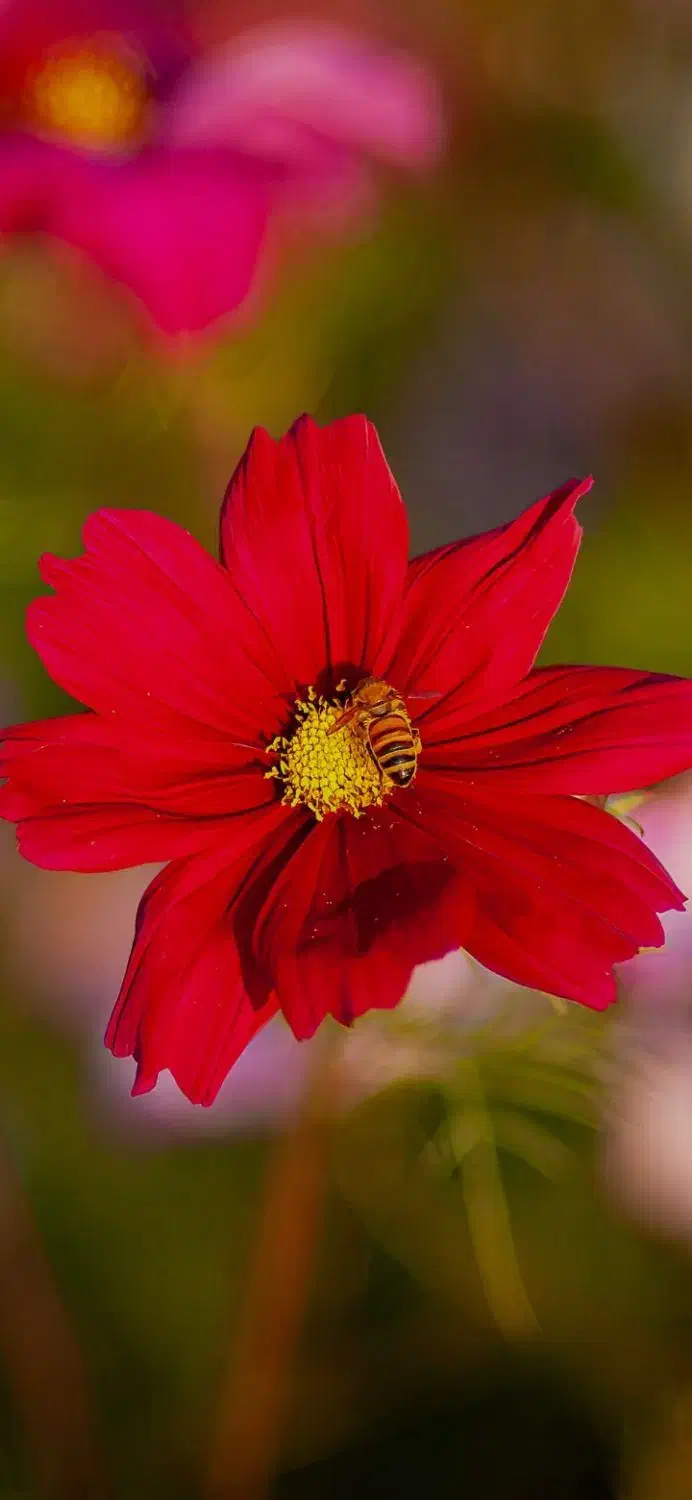 یک واحد تازه شروع به کار|فروش زمین و ملک کلنگی|ریگان, |دیوار