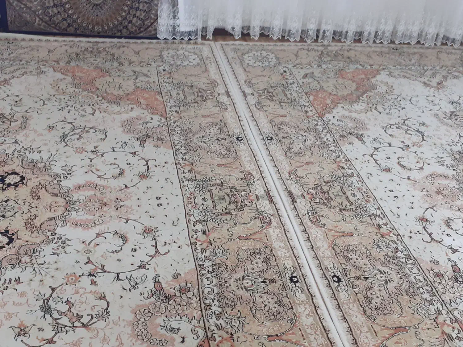 فرش|فرش|تولم شهر, |دیوار