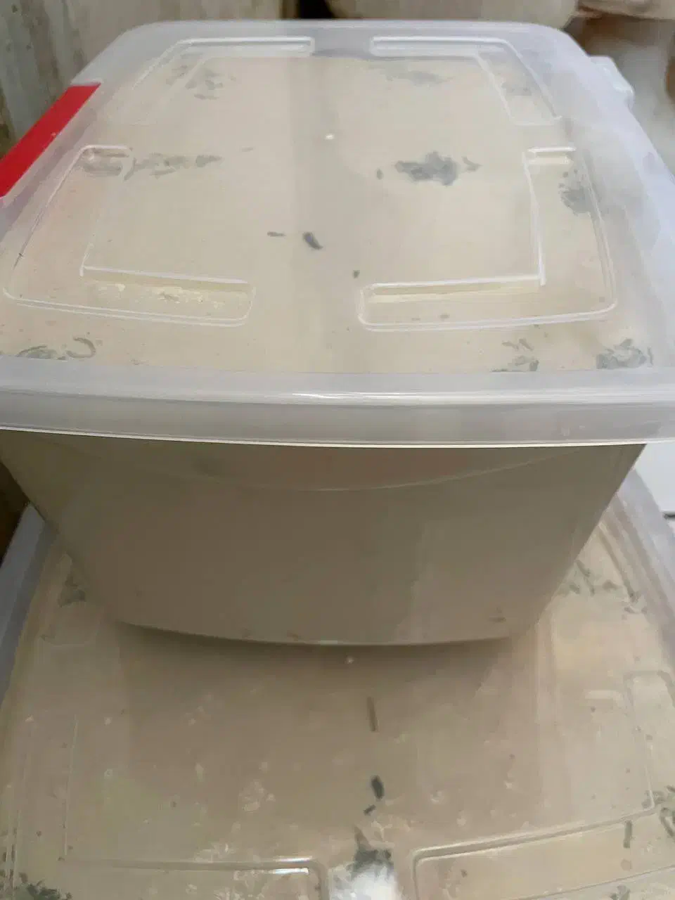 حلوا.ارده ممتاز. اردکان تولید روز/ ارسال از اردکان|خوردنی و آشامیدنی|تهران, ابوذر|دیوار