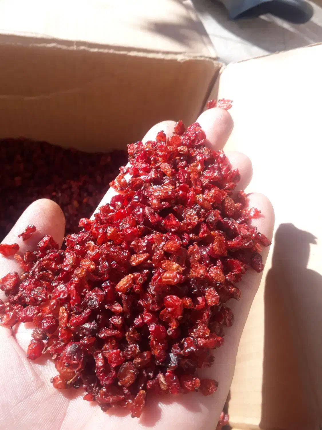 زرشک عالی و قیمت مناسب|خوردنی و آشامیدنی|مشهد, حجت|دیوار