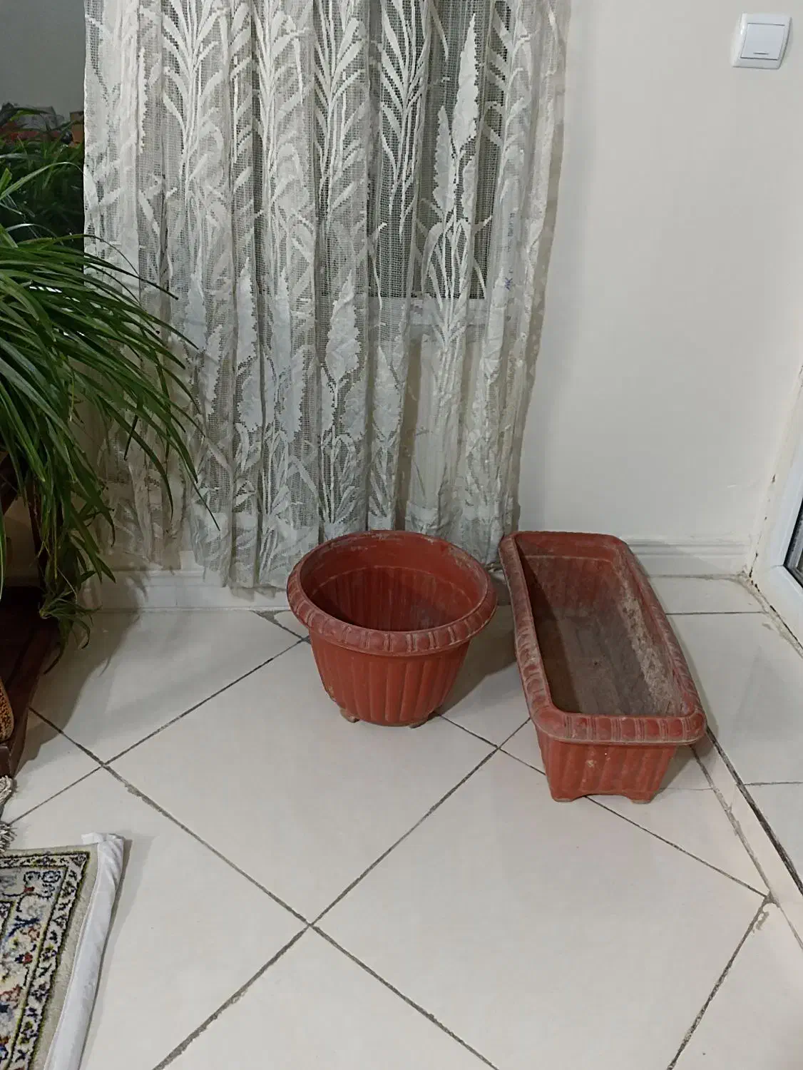 یک گلدان مستطیل شکل و یک گلدان گرد|گل و گیاه طبیعی|تهران, خاوران|دیوار