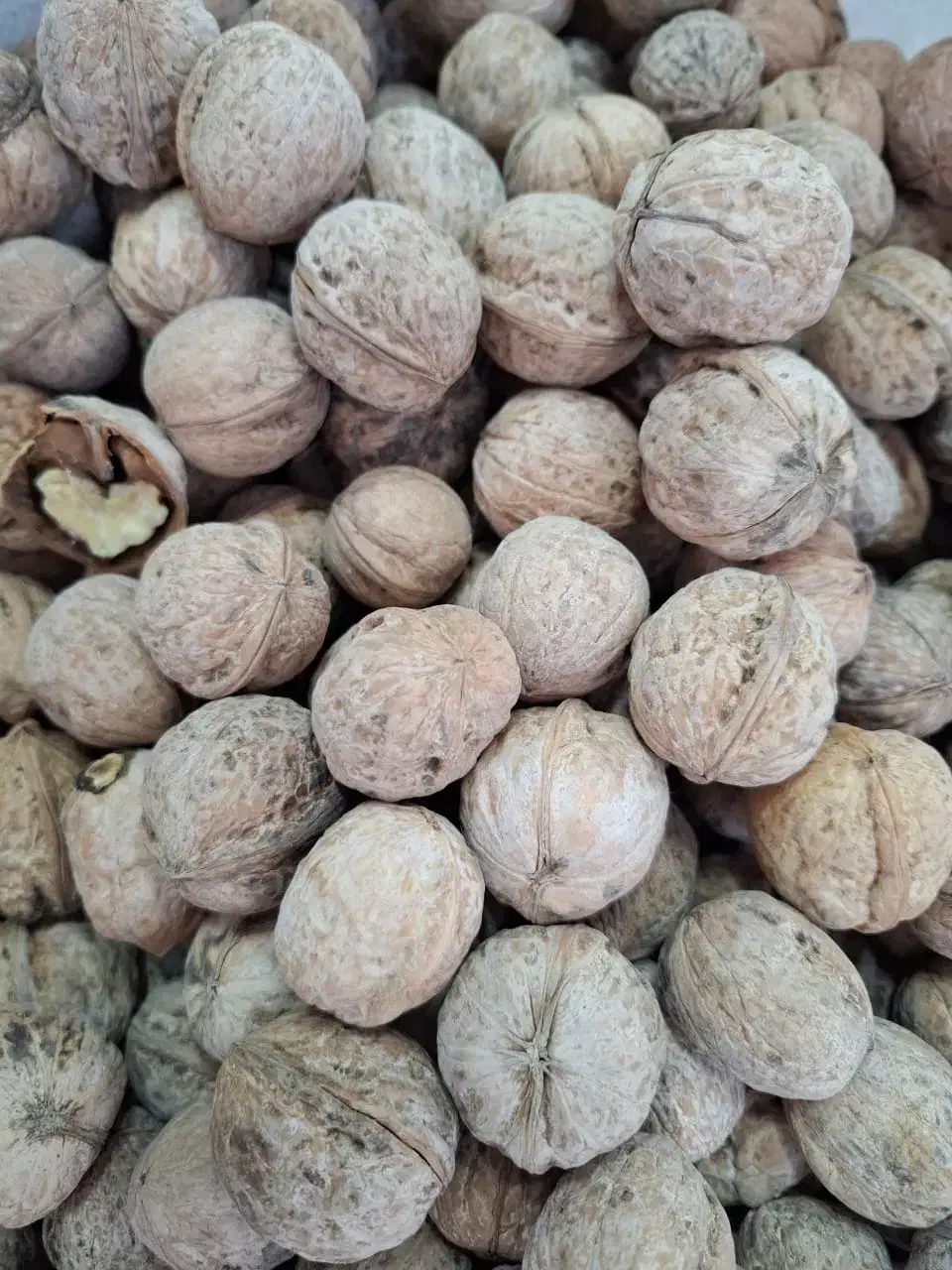 گردو درجه یک پوست کاغذی لرستان|خوردنی و آشامیدنی|تهران, ایرانشهر|دیوار