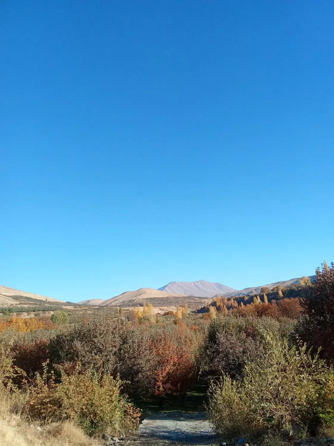 گمشده|جواهرات|مراغه, |دیوار