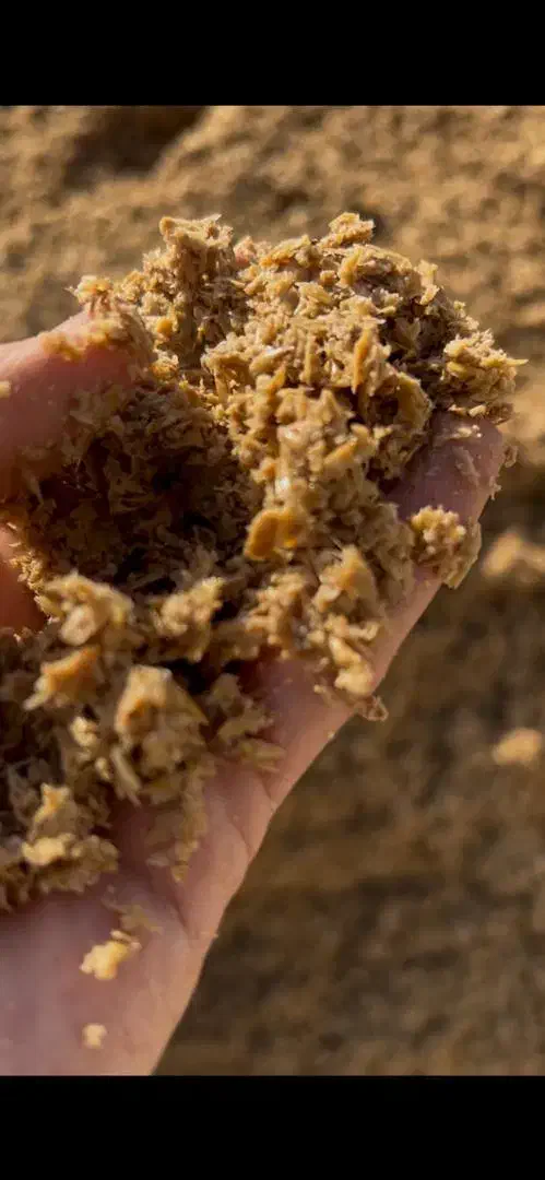 جو ایرانی|عمده‌فروشی|دیواندره, |دیوار