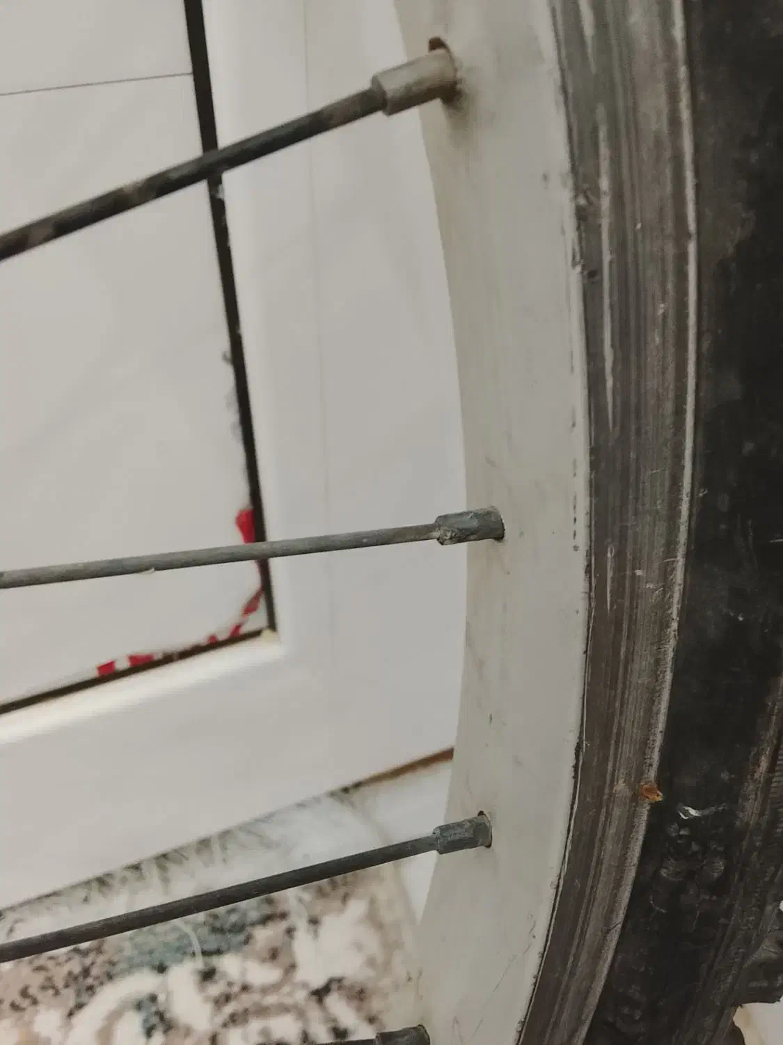 رینگ دوچرخه|دوچرخه، اسکیت، اسکوتر|تربت جام, میان جام|دیوار