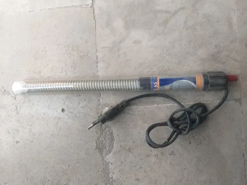 المنت آکواریوم|ماهی|کهک, |دیوار