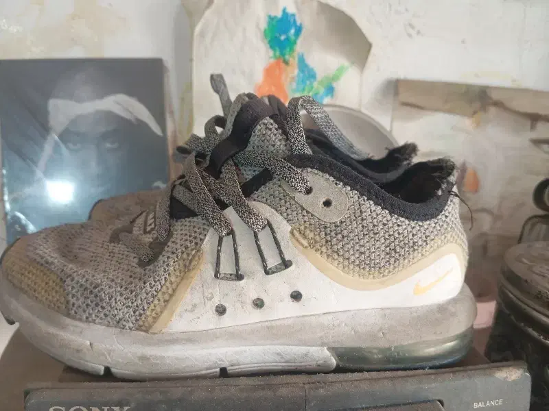 کفش بچگانه اورجینال|لباس|تهران, شهرک صادقیه|دیوار