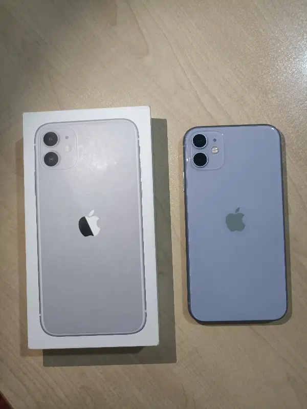 iPhone 11 normal|موبایل|بومهن, |دیوار