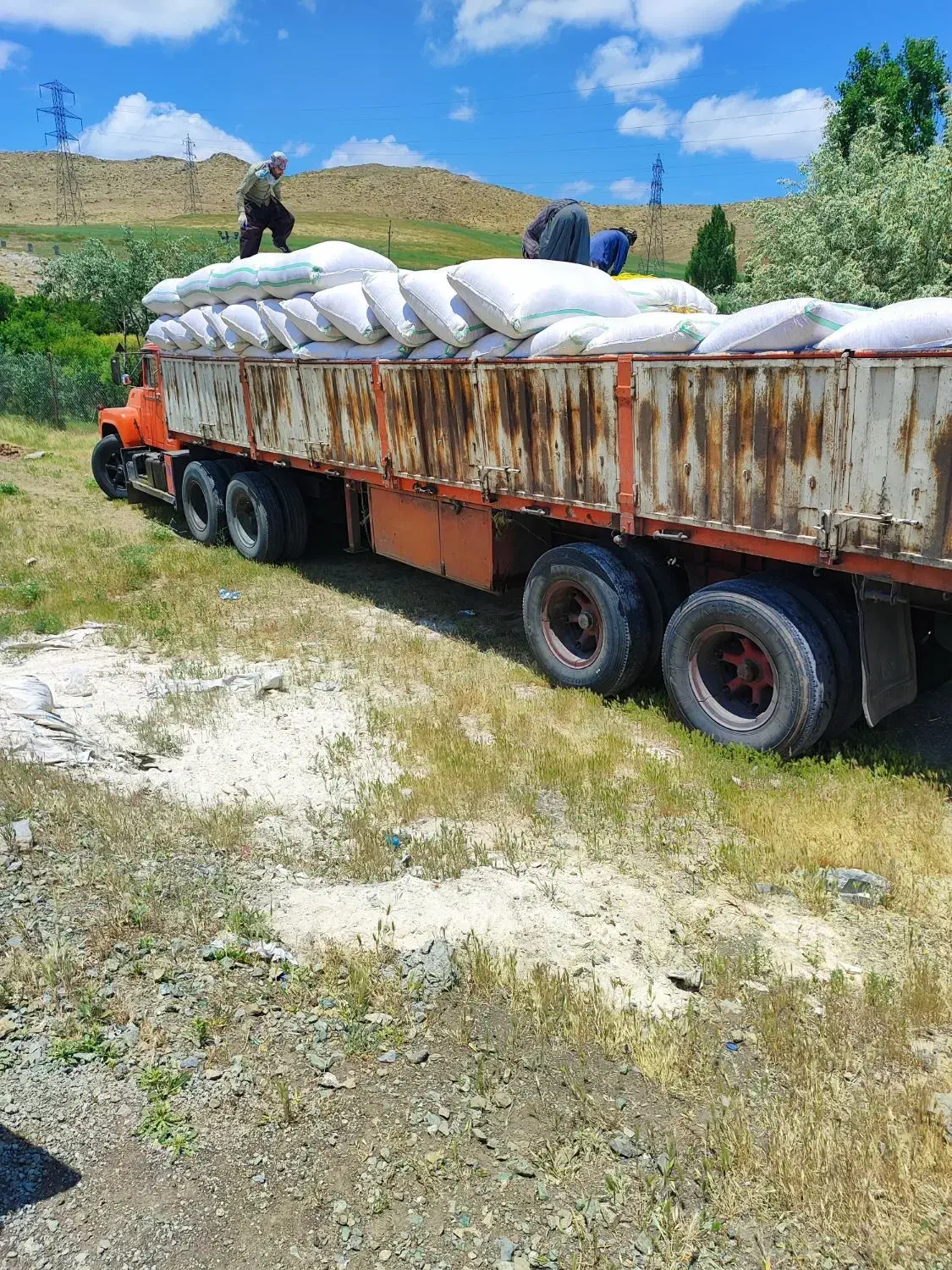 خریدار کاه نرم|خدمات باغبانی و درختکاری|دهگلان, |دیوار