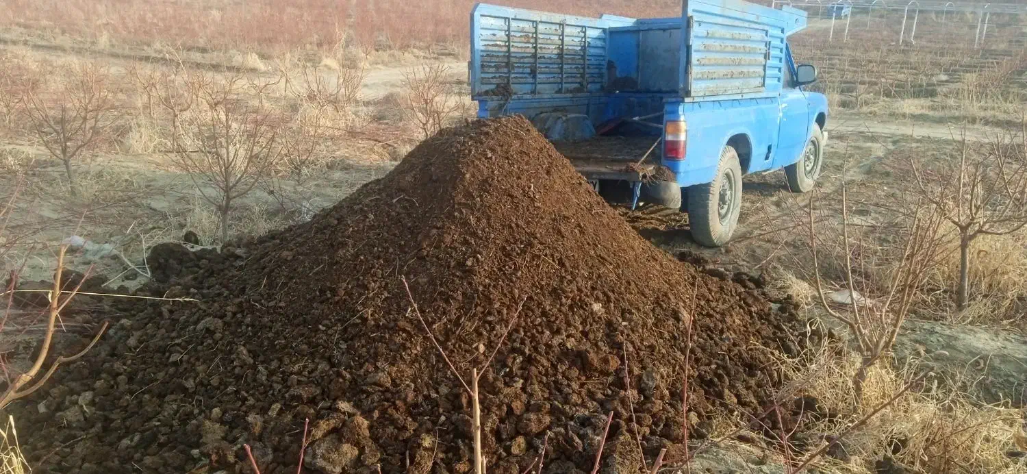 پهن|خودرو سواری و وانت|ارومیه, |دیوار