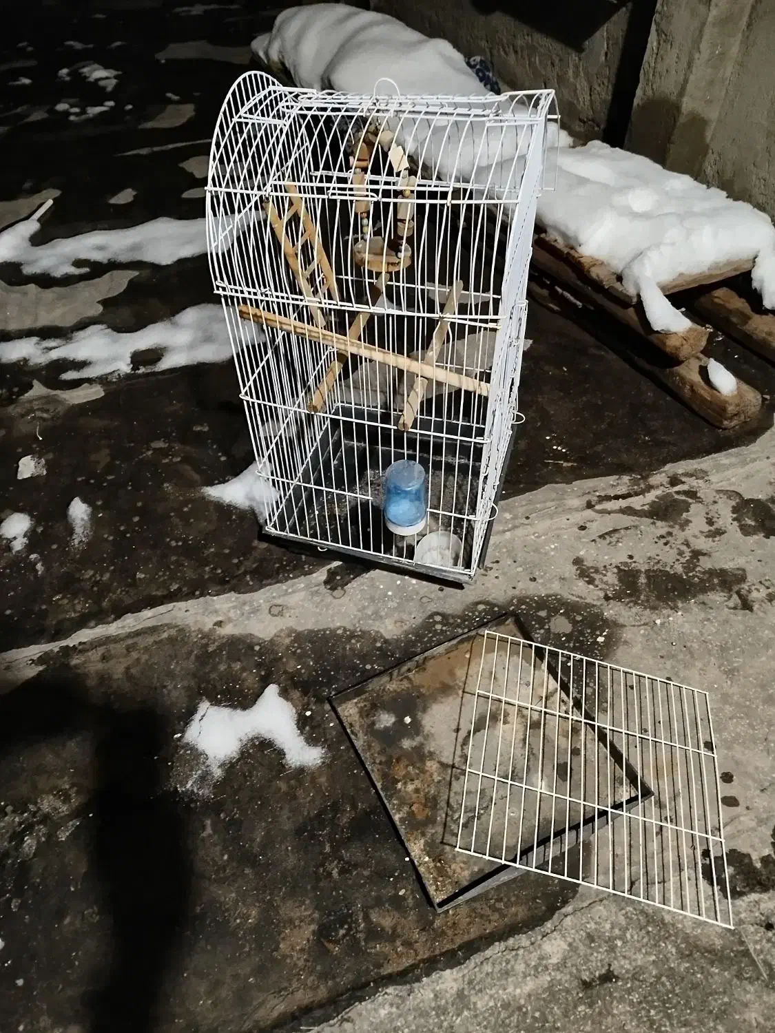 قفس|لوازم جانبی حیوانات|نیشابور, سرآب کوشک|دیوار