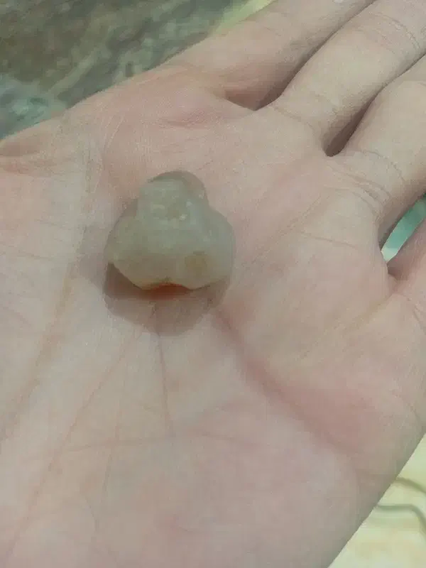 سنگ زینتی|جواهرات|رشت, پورسینا|دیوار