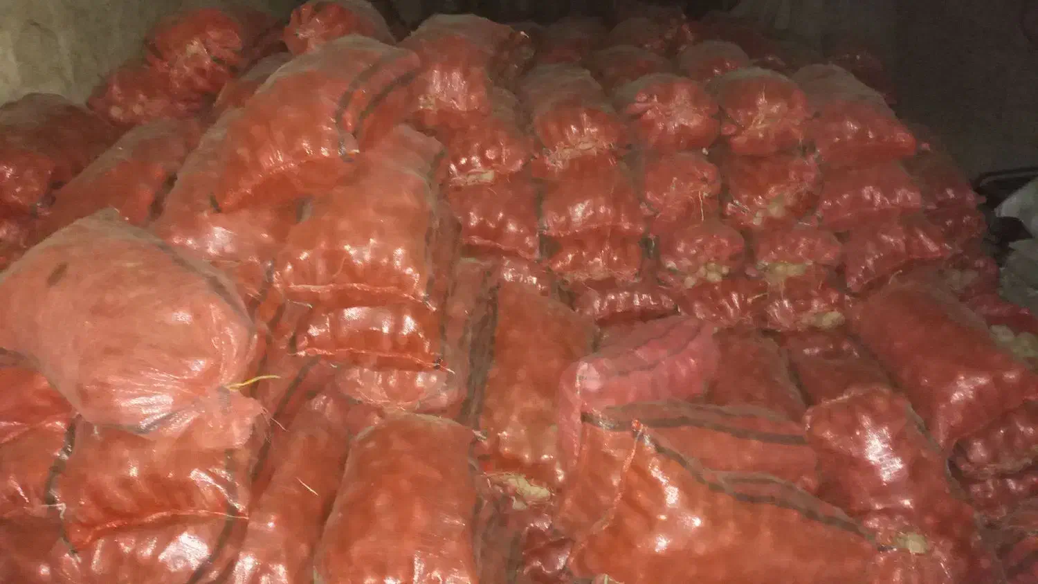 فروش سیب زمینی|خدمات باغبانی و درختکاری|سنقر, |دیوار