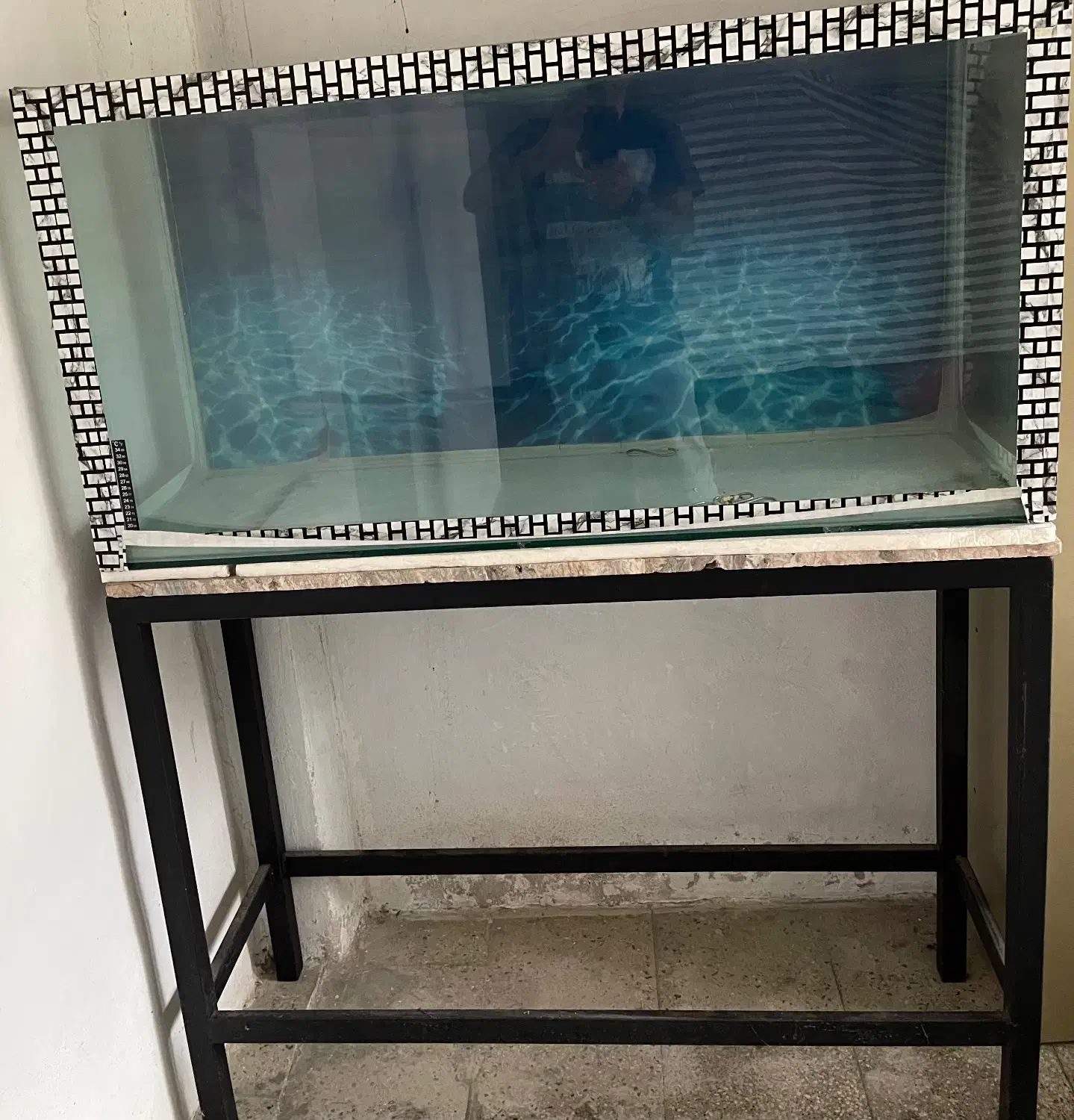 آکواریوم|ماهی|دابودشت, |دیوار