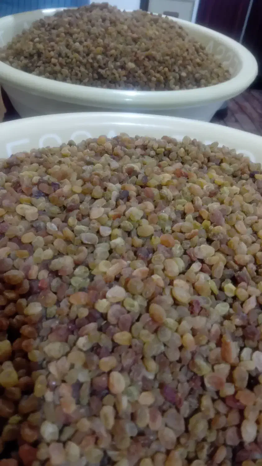 کشمش|عمدهفروشی|بروجرد, |دیوار