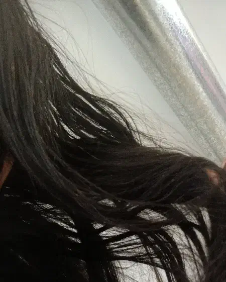 خرید موی بلند تا ۲۰ میلیون|خدمات آرایشگری و زیبایی|کوچصفهان, |دیوار