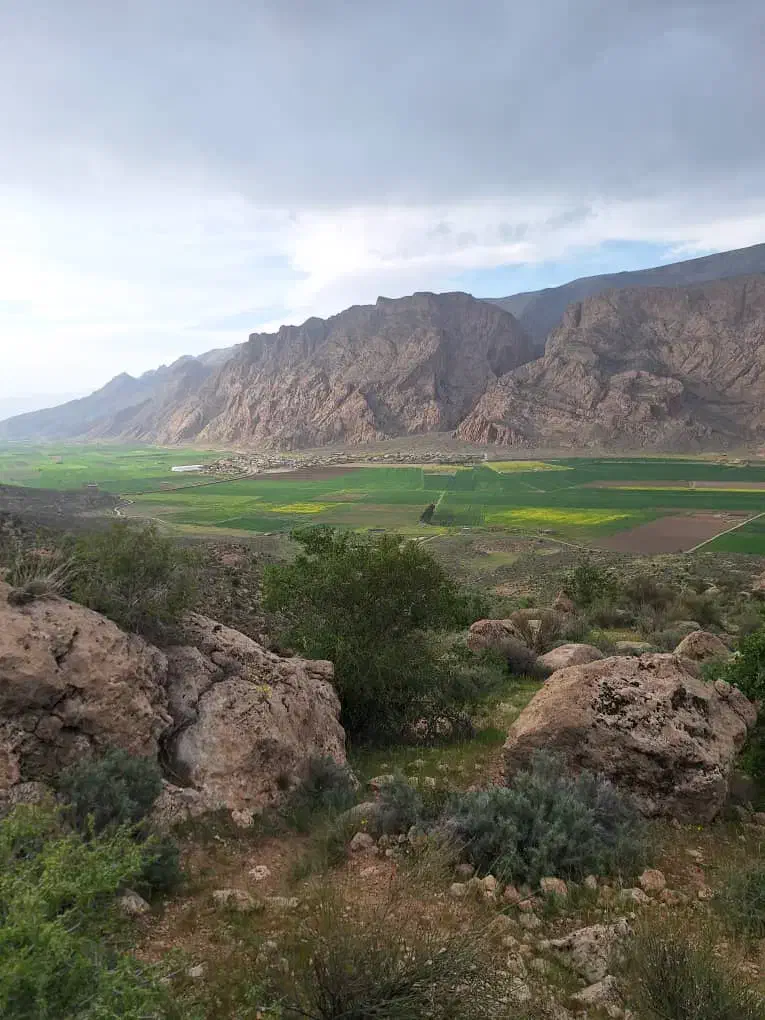 اجاره گوجه فرنگی|اجارهٔ دفتر صنعتی، کشاورزی، تجاری|درودزن, |دیوار