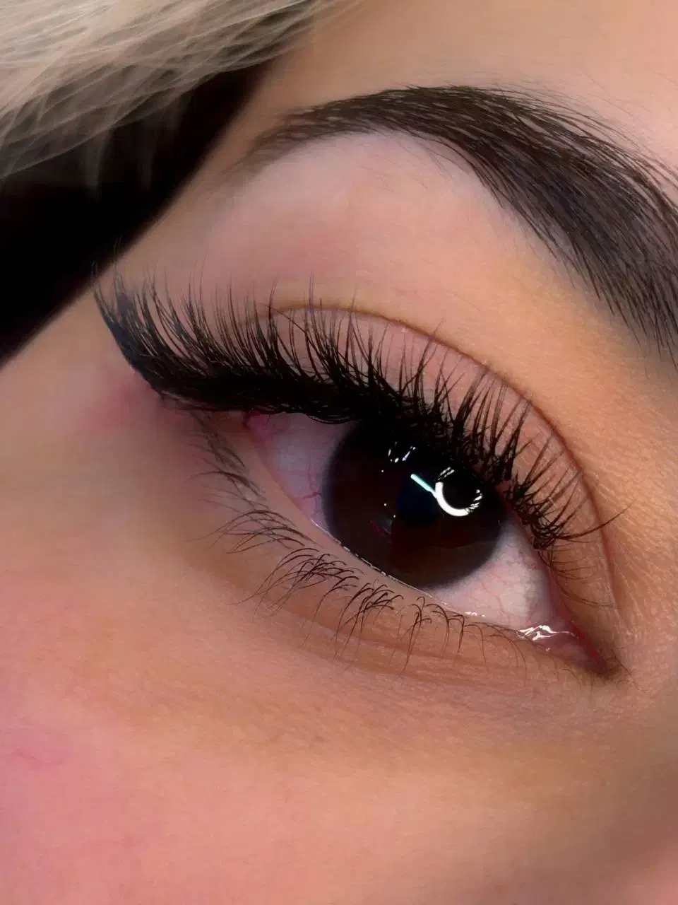 اکستنشن تخصصی مژه لیفت ابرو لیفت و لمینت مژه|خدمات آرایشگری و زیبایی|فسا, |دیوار