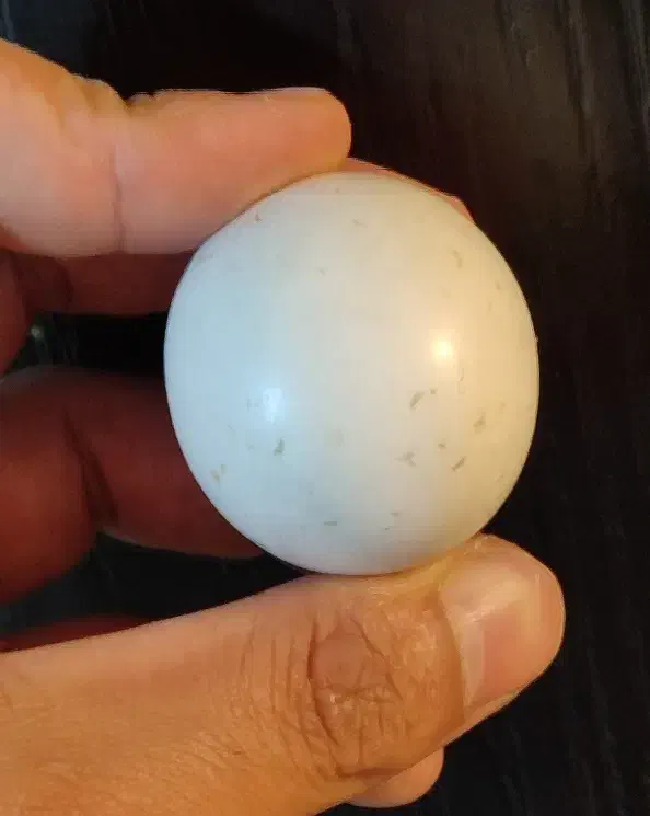 سنگ الماس (lonosdalit)|جواهرات|تهران, آبشار تهران (دریاچه)|دیوار