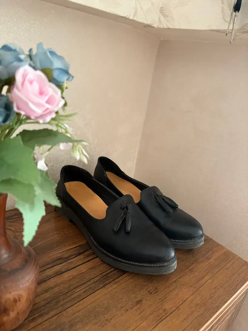 کفش|کیف، کفش، کمربند|سبزوار, قصبه شرقی|دیوار