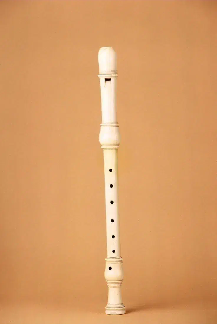 آموزش بلز و فلوت|خدمات آموزشی|رشت, استادسرا|دیوار