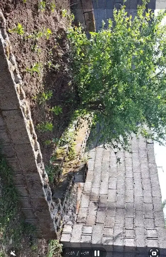 زمین مسکونی به متراژ۱۰۰متر .|فروش زمین و ملک کلنگی|رشت, کوی یخ|دیوار