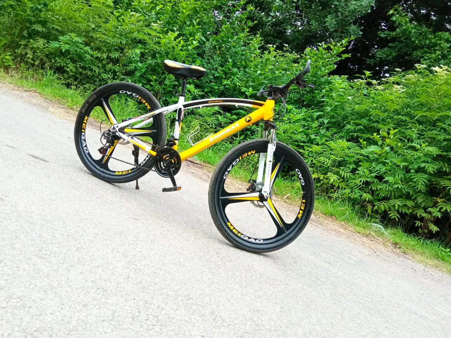 دوچرخه|دوچرخه، اسکیت، اسکوتر|بندر انزلی, لیچارگی حسن رود|دیوار